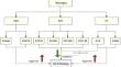 Microglial purinergic signaling in Alzheimer's disease.