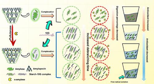 Simple Method for Preparing Starch Inclusion Complexes with Enhanced Amylolysis Resistance and Antioxidant Properties