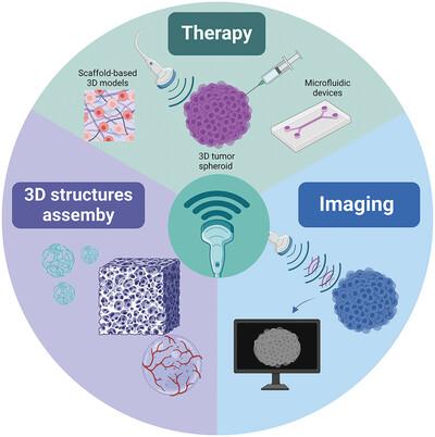 The Multifunctional Purposes of Ultrasound in 3D Models