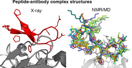 Gonococcal Mimitope Vaccine Candidate Forms a Beta-Hairpin Turn and Binds Hydrophobically to a Therapeutic Monoclonal Antibody