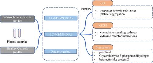 Protein Profiles and Novel Molecular Biomarkers of Schizophrenia Based on 4D-DIA Proteomics