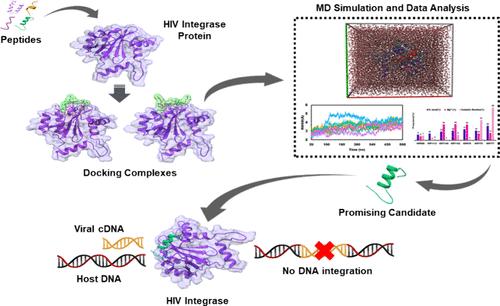 Structure-Guided Antiviral Peptides Identification Targeting the HIV-1 Integrase