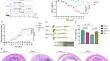 Sodium Houttuyfonate Ameliorates DSS-induced Colitis Aggravated by Candida albicans through Dectin-1/NF-κB/miR-32-5p/NFKBIZ Axis Based on Intestinal microRNA Profiling.