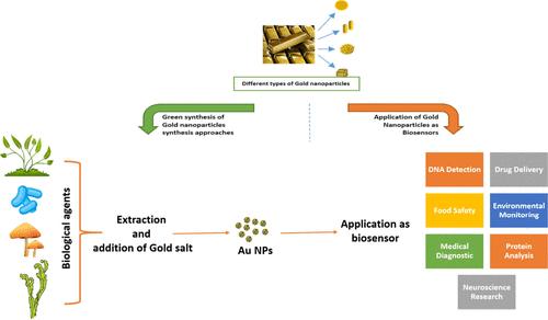 Gold Nanoparticles in Nanobiotechnology: From Synthesis to Biosensing Applications