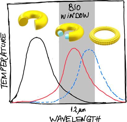 On the Photothermal Response of DNA–Au Core/Shell Nanotoroids as Potential Agents for Photothermal Therapies