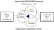 Demonstrating responsiveness of the pediatric cardiac quality of life inventory in children and adolescents undergoing arrhythmia ablation, heart transplantation, and valve surgery.