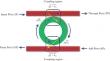 Numerical Analysis of All-Optical Binary to Gray Code Converter Using Silicon Microring Resonator