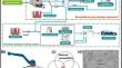 Tribological Investigation of Chemically Modified Polytetrafluoroethylene Coating for Hydrogen Valve Application