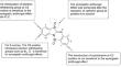 Synthesis, structure-activity relationship and evaluation of antifungal activity of tryptanthrin derivatives against drug-resistant Candida albicans