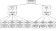 Pulmonary Atresia with Intact Ventricular Septum, a National Comparison Between Interventional and Surgical Approach, in Combination with a Systemic Literature Review.