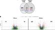 Proteomic analysis of lung responses to SARS-CoV-2 infection in aged non-human primates: clinical and research relevance.