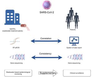 Application of wastewater-based epidemiological monitoring of COVID-19 for disease surveillance in the city