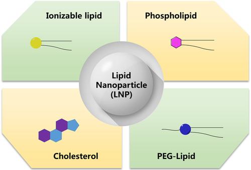 An overview of lipid constituents in lipid nanoparticle mRNA delivery systems.