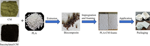 Incorporation of canola meal as a sustainable natural filler in PLA foams.