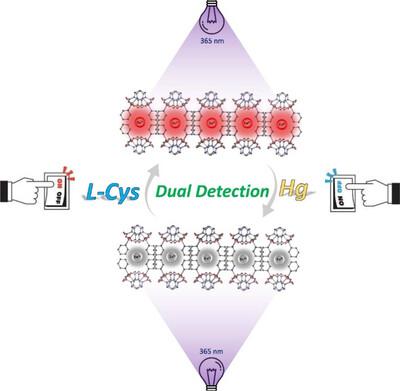 Ultrasound-assisted synthesis of a Eu<sup>3+</sup>-functionalized Zn<sup>II</sup> coordination polymer as a fluorescent dual detection probe for highly sensitive recognition of Hg<sup>II</sup> and L-Cys.