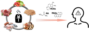 Effect of air-frying on formation and correlations of polycyclic aromatic hydrocarbons, acrylamide, and heterocyclic aromatic amines in foods and risk assessment