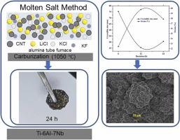 Carburization-induced surface modification of Ti-6Al-7Nb alloy and its characterization