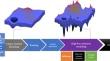 The State-of-the-Art Overview to Application of Deep Learning in Accurate Protein Design and Structure Prediction