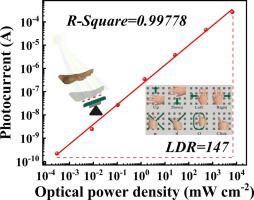 Low-temperature fabrication of lead-free Ag2BiI5 perovskite photodetector with excellent weak light detection ability for accurate gesture recognition