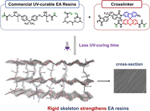 Rigid Photosensitive Polyimide Significantly Improves the Comprehensive Performance of UV-Curing Epoxy Acrylic Resins