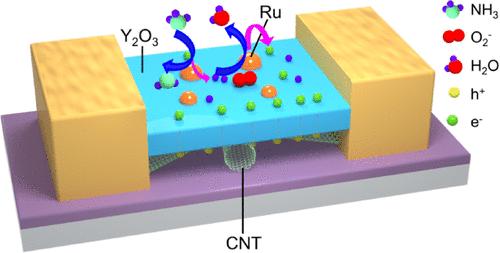 High-Performance Ammonia Gas Sensor Based on a Catalytic Ruthenium- Gated Field-Effect Transistor