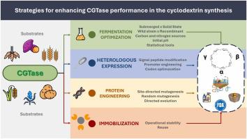 Current advances in obtaining novel cyclodextrin glycosyltransferases for optimizing the synthesis of cyclodextrins