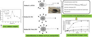 Development of Magnetic Immobilized Cellulase Biocatalysts for Saccharification of Paper Waste