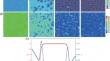 Effect of Temperature and Grain Boundary on Void Evolution in Irradiated Copper: A Phase-Field Study