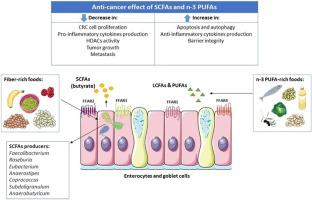 Current understanding of free fatty acids and their receptors in colorectal cancer treatment