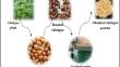 Comparative analysis of tamarind shell biomass powder and roasted chickpeas powder in kenaf fiber reinforced vinyl ester composite