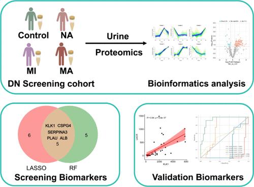 Application of Proteomics and Machine Learning Methods to Study the Pathogenesis of Diabetic Nephropathy and Screen Urinary Biomarkers.