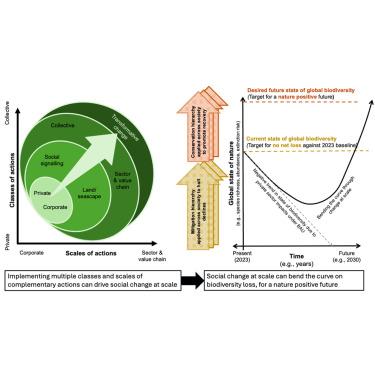 Operationalizing transformative change for business in the context of Nature Positive