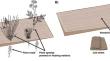 Application of Floating Beds Constructed with Woodchips for Nitrate Removal and Plant Growth in Wetlands