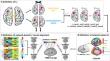 Compensation or Preservation? Different Roles of Functional Lateralization in Speech Perception of Older Non-musicians and Musicians.