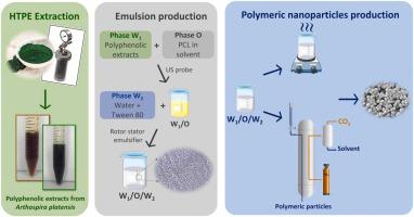 Encapsulation of Arthrospira platensis polyphenolic extract using supercritical emulsion-based process