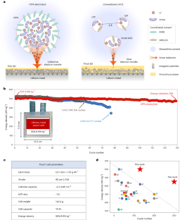 Towards long-life 500 Wh kg−1 lithium metal pouch cells via compact ion-pair aggregate electrolytes