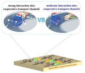 Metal ionic liquid-based hybrid membranes for ammonia separation through moderate interaction sites and cooperative transport channels