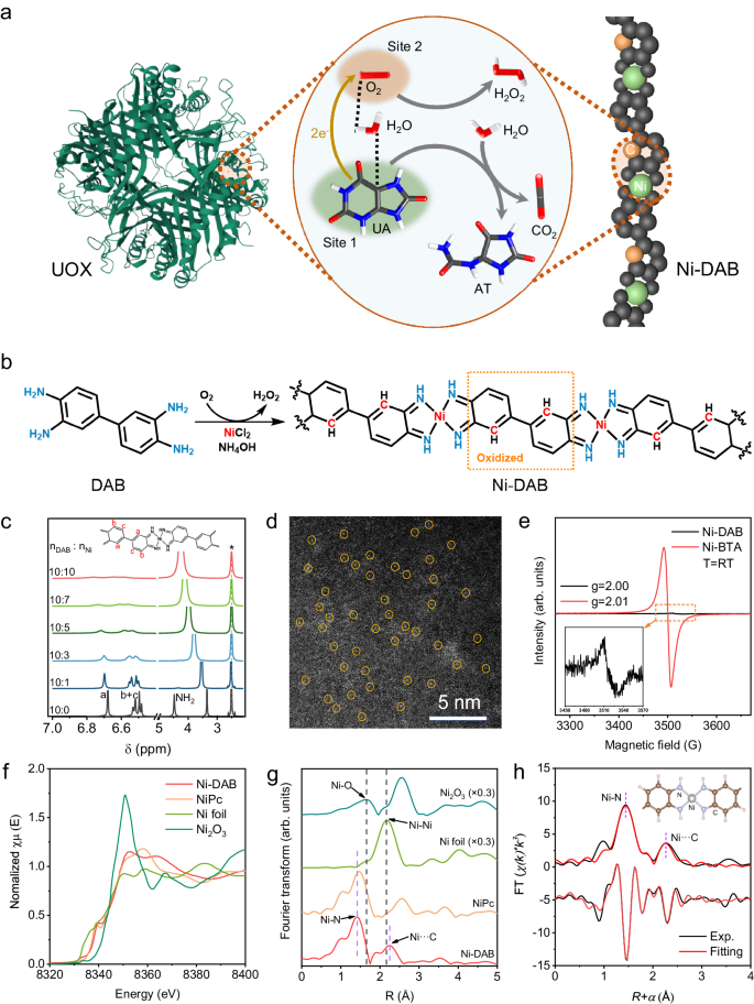 Metal-ligand dual-site single-atom nanozyme mimicking urate oxidase with high substrates specificity