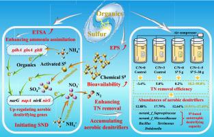 Coordination of elemental sulfur and organic carbon source stimulates simultaneous nitrification and denitrification toward low C/N ratio wastewater