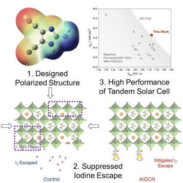 Stabilizing efficient wide-bandgap perovskite in perovskite-organic tandem solar cells