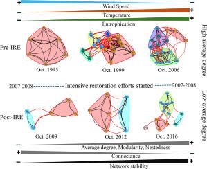 Temporal shifts in the phytoplankton network in a large eutrophic shallow freshwater lake subjected to major environmental changes due to human interventions