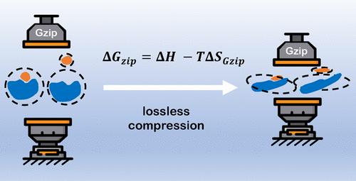 DeltaGzip: Computing Biopolymer-Ligand Binding Affinity via Kolmogorov Complexity and Lossless Compression.