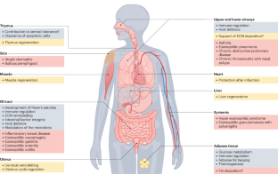 Spatial adaptation of eosinophils and their emerging roles in homeostasis, infection and disease