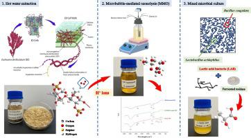 Dilute acid-assisted microbubbles-mediated ozonolysis of Eucheuma denticulatum phycocolloid for biobased L-lactic acid production.