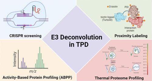 Targeted Protein Degradation: Current and Emerging Approaches for E3 Ligase Deconvolution