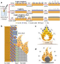 Mystical alkali metal flame: Sodiophilic insights into rapid preparation of the Na metal battery anode