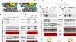 Cleavage site-directed antibodies reveal the prion protein in humans is shed by ADAM10 at Y226 and associates with misfolded protein deposits in neurodegenerative diseases.