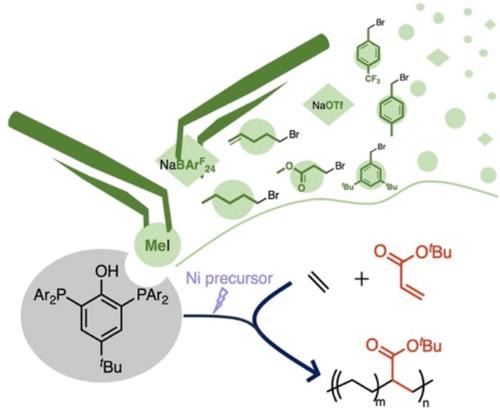 Catalyst Editing via Post-Synthetic Functionalization by Phosphonium Generation and Anion Exchange for Nickel-Catalyzed Ethylene/Acrylate Copolymerization