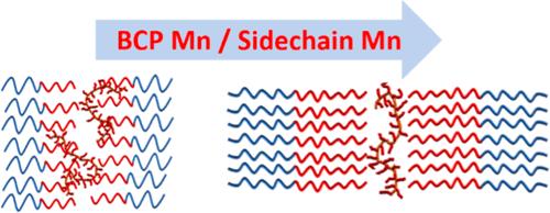 Role of Bottlebrush Additives on the Structure of Block Copolymers in the Bulk and Thin Films