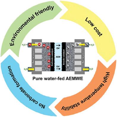 Recent Progress and Perspective in Pure Water-Fed Anion Exchange Membrane Water Electrolyzers